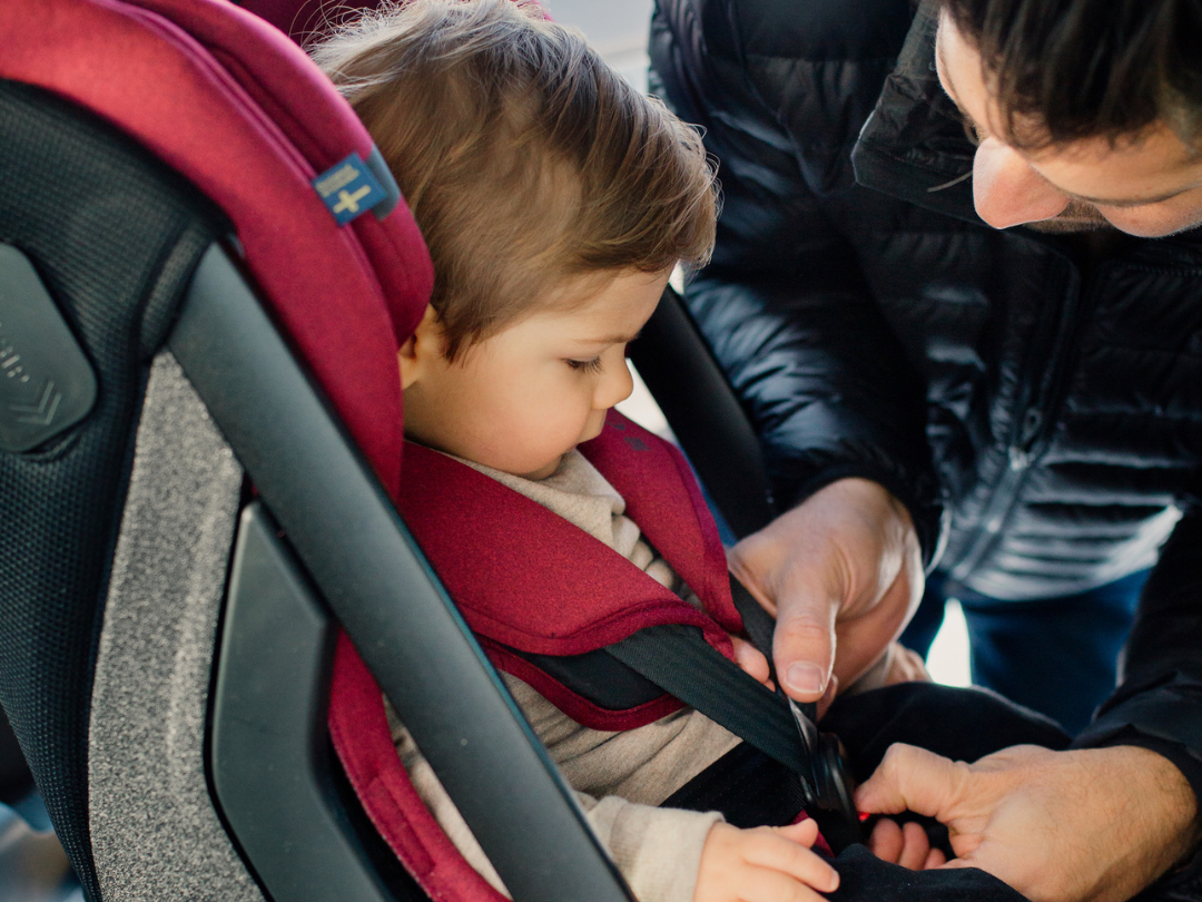 food safety feeding in the car