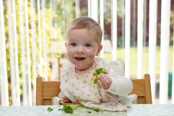 Starting solids